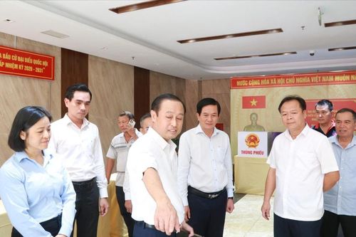 TP. Hồ Chí Minh: Chuẩn bị chu đáo cho ngày bầu cử ĐBQH và HĐND các cấp