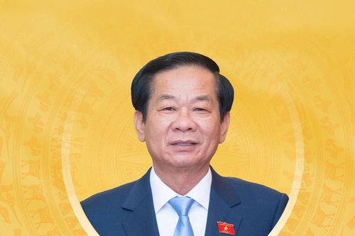 Tiểu sử tóm tắt và chương trình hành động của người ứng cử đại biểu Quốc hội khóa XVI Thành phố Hồ Chí Minh Đỗ Thanh Bình