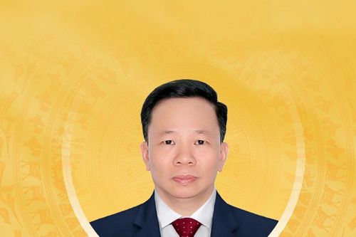 Tiểu sử tóm tắt và chương trình hành động của người ứng cử đại biểu Quốc hội khóa XVI Thành phố Cần Thơ Lê Minh Nam