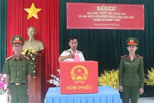 Cà Mau: Bầu cử sớm ở đảo Hòn Khoai và Hòn Chuối