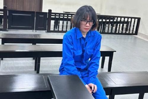 Chiếm đoạt tiền tỷ từ chiêu trò lừa mang thai hộ