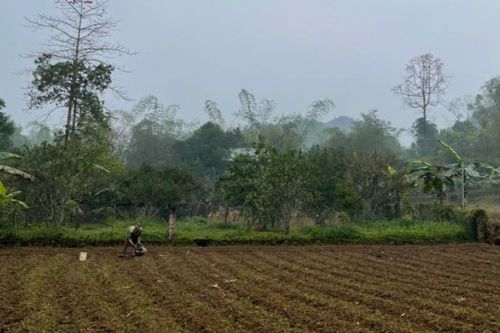 Thời tiết các khu vực trong tỉnh ngày 14/3 ngày có lúc giảm mây, hửng nắng