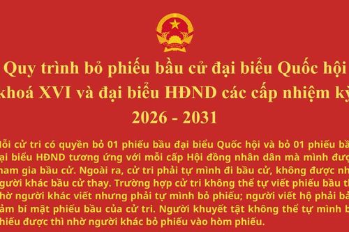 Quy trình bỏ phiếu bầu cử đại biểu Quốc hội khóa XVI và đại biểu HĐND các cấp nhiệm kỳ 2026 - 2031