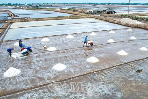 Hỗ trợ sản xuất nông nghiệp bị thiệt hại do thiên tai