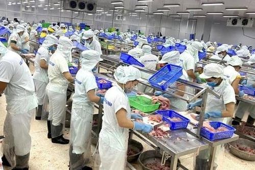 Thị trường tuyển dụng tại Việt Nam thuộc nhóm cao nhất thế giới