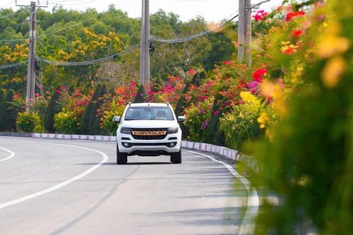 Ngắm cung đường tuyệt đẹp xuyên rừng ngập mặn ở TP.HCM