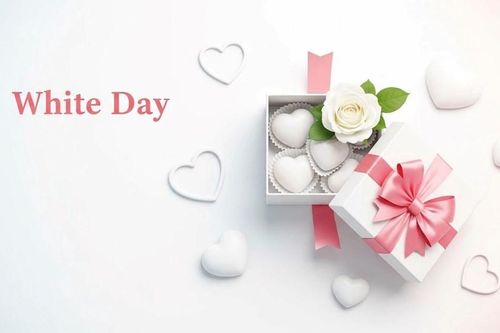 Valentine Trắng - Ngày hồi đáp yêu thương