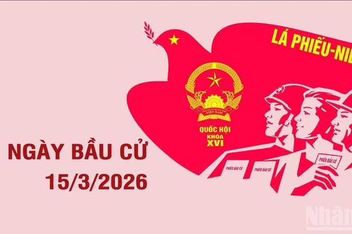 Thông tin cần biết về Ngày Bầu cử