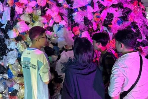Triển lãm nghệ thuật tái chế Hoa và Rác 2026
