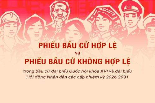 Phiếu hợp lệ và không hợp lệ trong bầu cử đại biểu Quốc hội và Hội đồng nhân dân các cấp