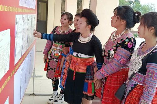 Hiệu trưởng vùng biên băng rừng tuyên truyền bầu cử