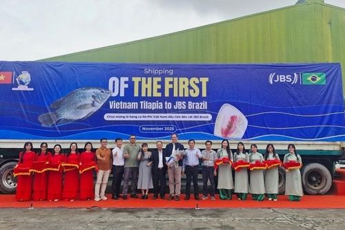 Mở đường cho 'kho báu dưới nước' của Việt Nam vào Brazil