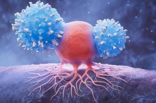 'Công tắc gene' tăng khả năng tiêu diệt ung thư