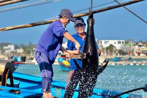 Gần lắm, Gạc Ma... Bài cuối: Những 'chiến sĩ' không quân hàm