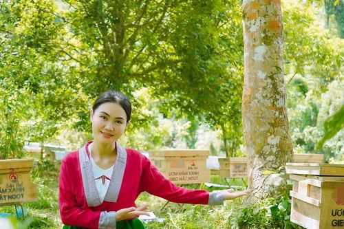 Hành trình đánh thức sinh kế từ rừng của cô gái xứ Thanh ứng cử đại biểu Quốc hội