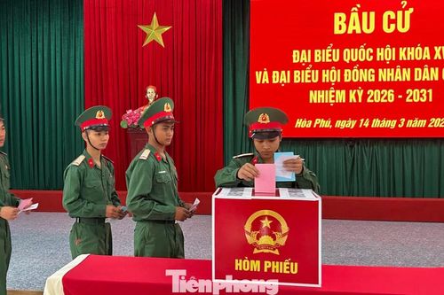 Lá phiếu đầu đời của những tân binh