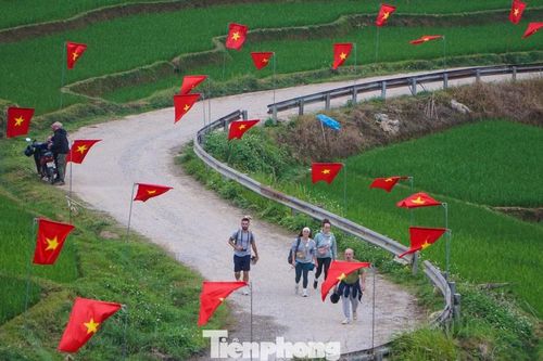 Đẹp mê mẩn con đường rợp cờ đỏ sao vàng ở xứ Thanh mừng ngày bầu cử