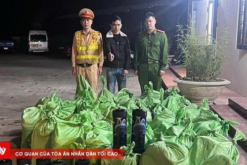 Phát hiện xe bán tải vận chuyển 200 bình khí cười