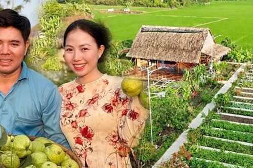 Vợ chồng ở An Giang bỏ phố về quê dựng khu vườn xanh mướt, hút triệu view