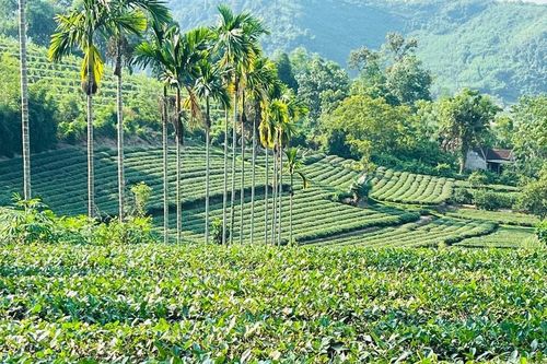 Thời tiết Nghệ An ngày 14/3: Trời nhiều mây, có mưa và mưa nhỏ rải rác