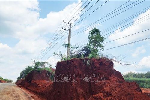 Đồng Nai: Xử lý nghiêm vi phạm tại Dự án Nâng cấp, mở rộng ĐT.753