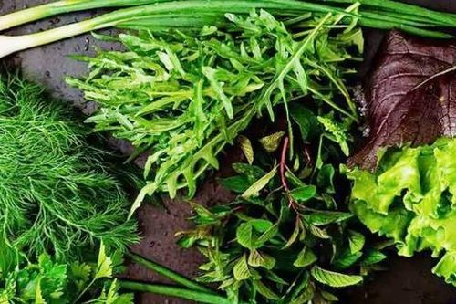 Loại rau gia vị tốt nhất, đem lại nhiều lợi ích cho sức khỏe