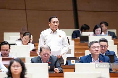 Luật gia Phạm Văn Hòa: Mang tiếng nói cử tri đến nghị trường