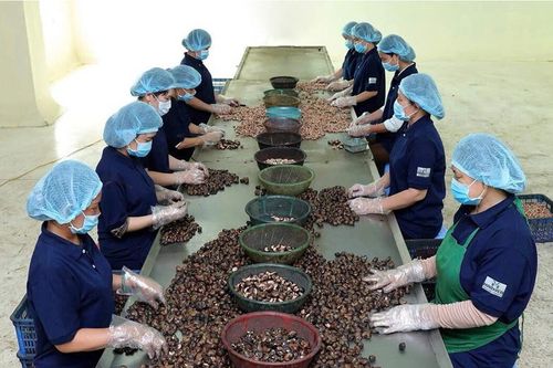 Xuất khẩu nông sản sang Trung Quốc: 'Qua cửa' không còn là đích đến