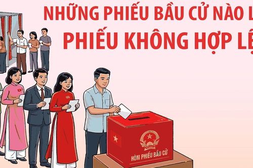 Bầu cử Quốc hội và HĐND: Những phiếu bầu cử nào là phiếu không hợp lệ?