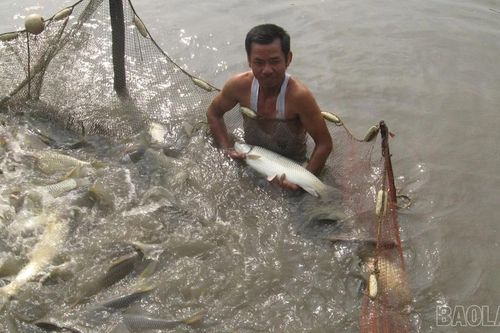Gắn phát triển kinh tế với bảo vệ môi trường