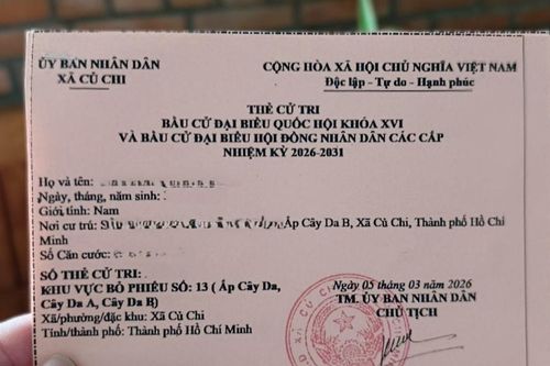 Đi bầu cử ngày 15/3 cần mang gì, thẻ cử tri là giấy tờ bắt buộc