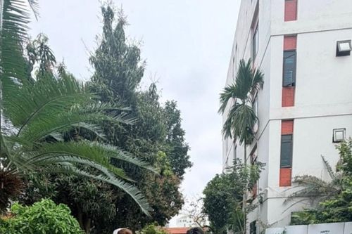 Lễ cưới cầu thủ Đức Huy và MC Huyền Trang Mù Tạt tại quê nhà