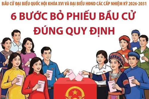 Bầu cử Quốc hội và HĐND: 6 bước bỏ phiếu bầu cử đúng quy định