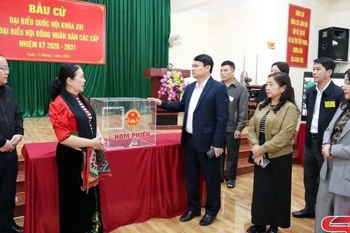 Phường Tô Hiệu triển khai diễn tập, sẵn sàng cho ngày bầu cử 15/3