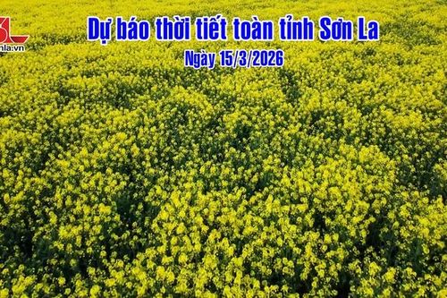 Dự báo thời tiết toàn tỉnh Sơn La ngày 15/3/2026
