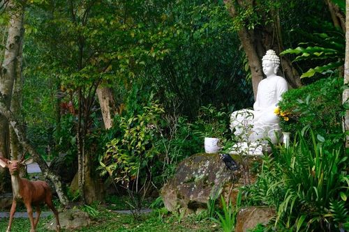 Nghệ thuật an trú trong hiện tại theo kinh Nhất dạ hiền giả