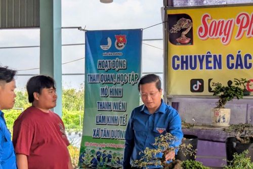 Nhiều hoạt động ý nghĩa trong tuần 'Sáng tạo trẻ và Khởi nghiệp' thanh niên Đồng Tháp