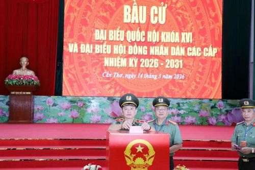 Rộn ràng những lá phiếu trong ngày bầu cử sớm