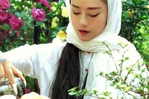 Dương Lệ Bình ở tuổi 70: Nàng 'Chim công' lạc giữa trần gian, quên mất cách để già đi