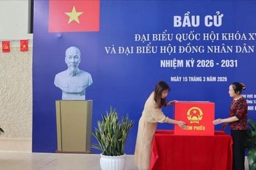 Cử tri phường Tây Tựu kỳ vọng phát triển vùng trồng hoa