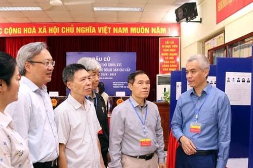 Phường Nghĩa Đô: Nhiều mô hình sáng tạo chào mừng ngày bầu cử
