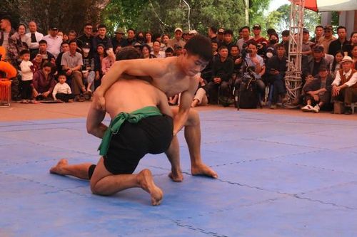 Sới vật ngày Xuân, để sân chơi là niềm tự hào của cộng đồng Kỳ 2: Chấn thương thể thao, nỗi ám ảnh của vận động viên
