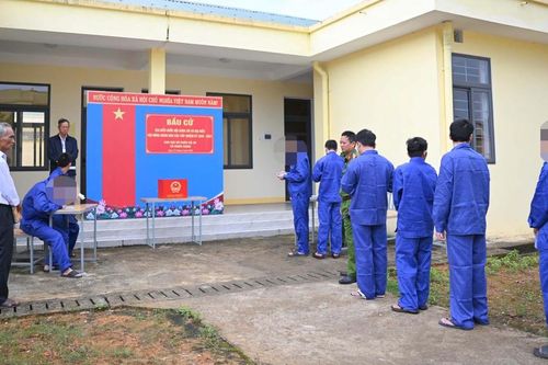 Quảng Ngãi: Người bị tạm giam, tạm giữ tham gia bầu cử