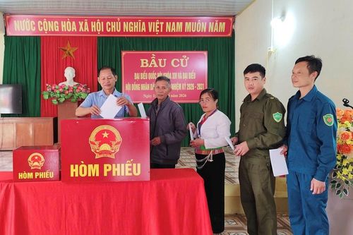 Ninh Bình: 462 khu vực bỏ phiếu đạt 100% cử tri đi bầu cử