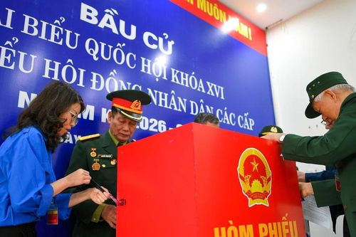 Kiều bào ở các nước luôn dõi theo cuộc bầu cử với niềm tự hào, sự quan tâm sâu sắc