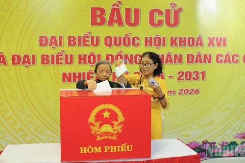 Đà Nẵng: Tỷ lệ cử tri đi bỏ phiếu đạt 99,92%