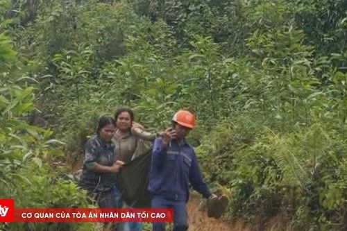 Hai người bị phóng điện từ đường dây 110kV khi khai thác keo ở Ba Tơ