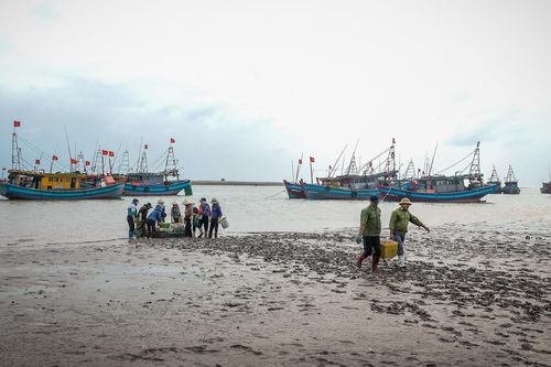 Cảnh khác lạ tại bến cá nổi tiếng Ninh Bình