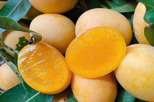 Loại quả giải nhiệt bán đầy chợ nhưng người đau dạ dày không nên ăn
