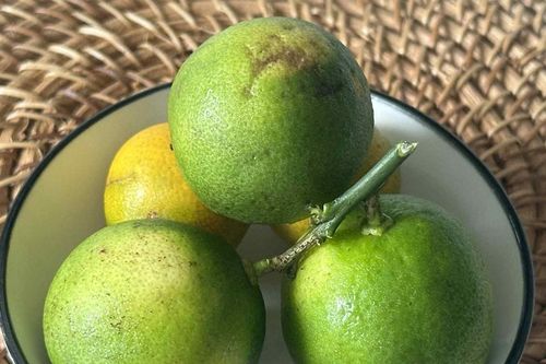 Lý do bạn nên giữ vỏ chanh để ăn thường xuyên
